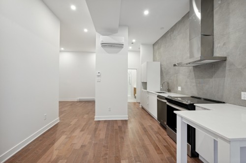 Vue d'ensemble - 3-2691 Av. Charlemagne, Montréal (Mercier/Hochelaga-Maisonneuve), QC 