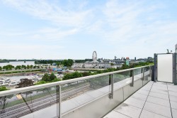 Patio - 