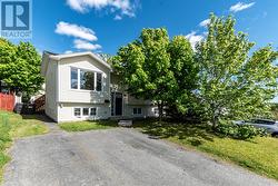 16 Grandy Crescent  Mount Pearl, NL None