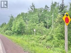 11 Point Leamington Highway  Northern Arm, NL A0H 1E0