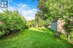 Expansive green lawn surrounded by mature trees and shrubs - 