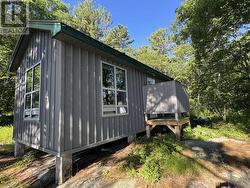 Bunkie - 