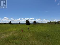 Lot 29 Rocky Brook Road  Reidville, NL A8A 1Z4