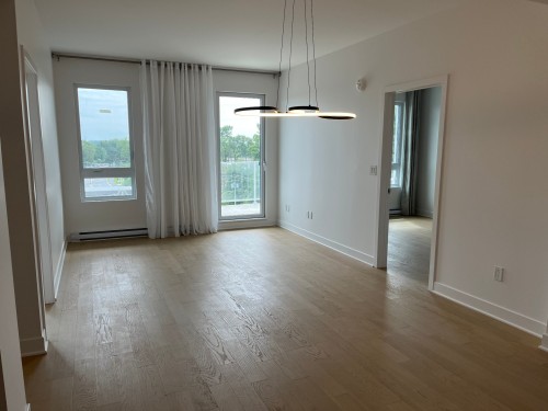 Salon - 707-138 Rue Léo-Major, Sainte-Anne-De-Bellevue, QC - Indoor Photo Showing Other Room