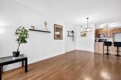 Salon - 