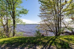 Bord de l'eau - 