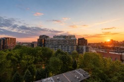 View - 