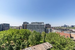 View - 
