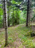 Terre/Terrain - 