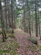 Terre/Terrain - 