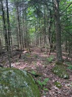 Terre/Terrain - 