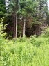 Terre/Terrain - Ch. Des Malards, Mont-Blanc, QC 