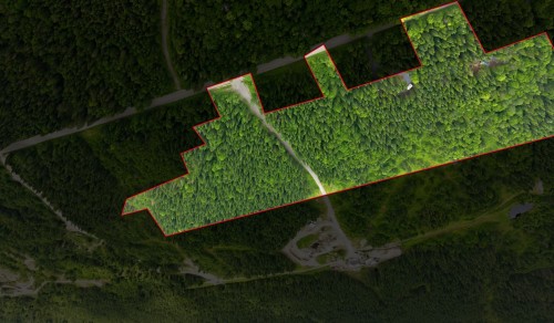 Terre/Terrain - Route Laflamme, Saint-Luc-De-Bellechasse, QC 