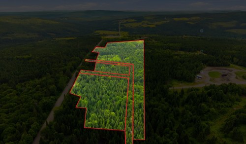Terre/Terrain - Route Laflamme, Saint-Luc-De-Bellechasse, QC 