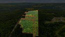 Terre/Terrain - Route Laflamme, Saint-Luc-De-Bellechasse, QC 