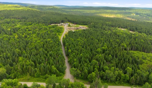 Terre/Terrain - Route Laflamme, Saint-Luc-De-Bellechasse, QC 