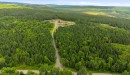 Terre/Terrain - Route Laflamme, Saint-Luc-De-Bellechasse, QC 