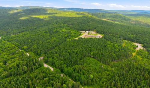 Terre/Terrain - Route Laflamme, Saint-Luc-De-Bellechasse, QC 