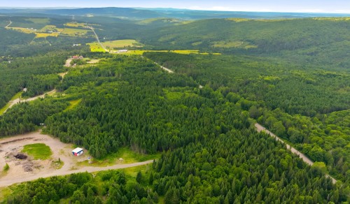 Terre/Terrain - Route Laflamme, Saint-Luc-De-Bellechasse, QC 