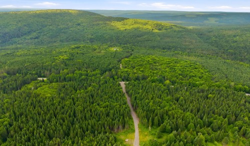 Terre/Terrain - Route Laflamme, Saint-Luc-De-Bellechasse, QC 