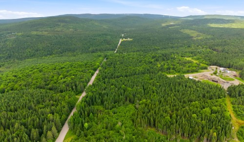 Terre/Terrain - Route Laflamme, Saint-Luc-De-Bellechasse, QC 