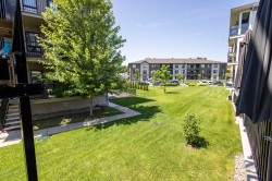 Courtyard - 