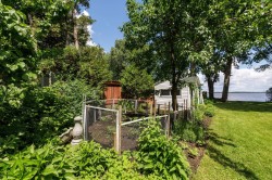 Garden - 