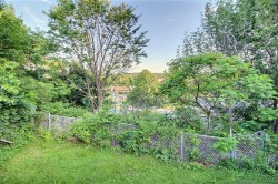 Garden - 