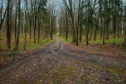 378E Route de St-Malachie Saint-Damien-De-Buckland, QC G0R 2Y0