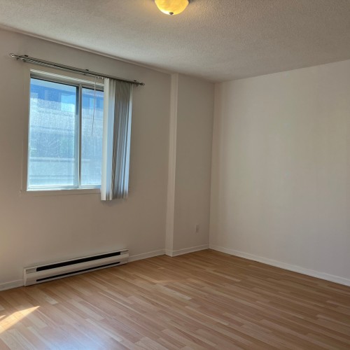 Master Bedroom - 307-10332 Rue Paul-Comtois, Montréal (Ahuntsic-Cartierville), QC - Indoor Photo Showing Other Room