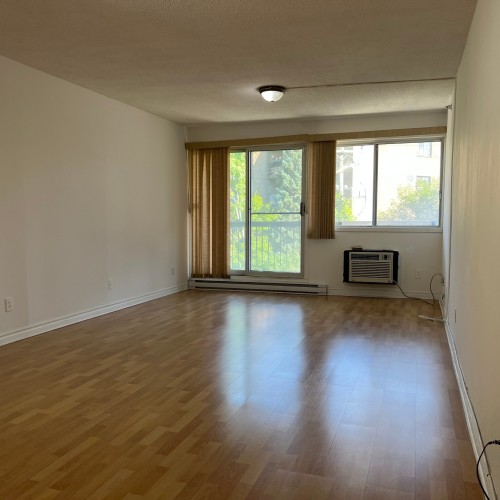 Living Room - 307-10332 Rue Paul-Comtois, Montréal (Ahuntsic-Cartierville), QC - Indoor Photo Showing Other Room