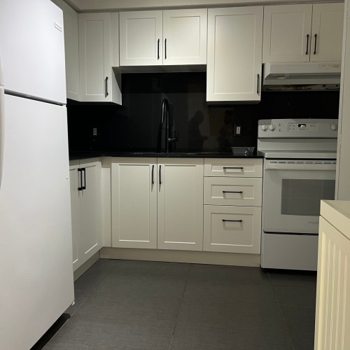 Kitchen - 307-10332 Rue Paul-Comtois, Montréal (Ahuntsic-Cartierville), QC - Indoor Photo Showing Kitchen
