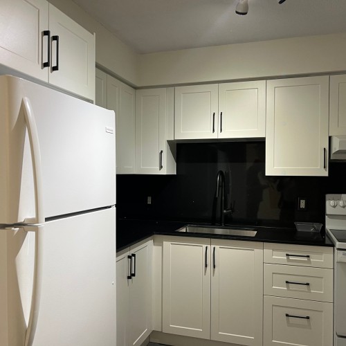 Kitchen - 307-10332 Rue Paul-Comtois, Montréal (Ahuntsic-Cartierville), QC - Indoor Photo Showing Kitchen