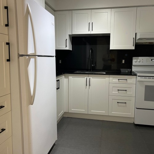 Kitchen - 307-10332 Rue Paul-Comtois, Montréal (Ahuntsic-Cartierville), QC - Indoor Photo Showing Kitchen