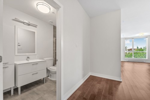 Passageway - 304-420 19E Avenue, Montréal (Lachine), QC - Indoor Photo Showing Bathroom