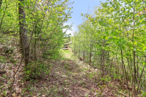 Exterior - 2120Z Ch. Du Golf, Sainte-Lucie-Des-Laurentides, QC 