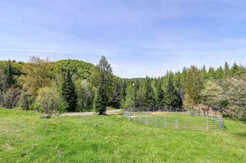Exterior - 2120Z Ch. Du Golf, Sainte-Lucie-Des-Laurentides, QC 