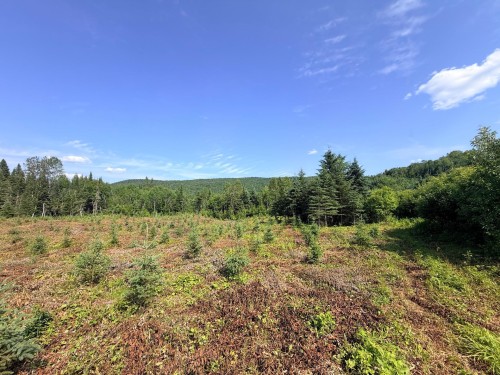 Autre - Ch. St-Joseph, Trois-Rives, QC 
