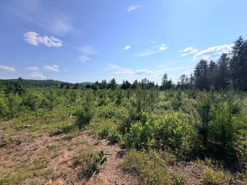 Terre à bois - Ch. St-Joseph, Trois-Rives, QC 