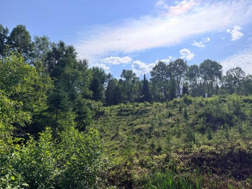 Terre à bois - Ch. St-Joseph, Trois-Rives, QC 