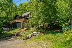 Wooded area - 