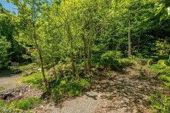 Wooded area - 