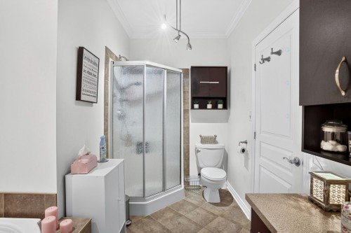 Bathroom - 2-2401 Boul. Lafontaine, Saint-Jérôme, QC - Indoor Photo Showing Bathroom