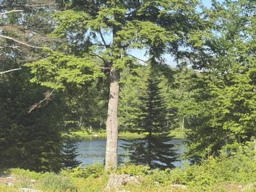 27 Riverside Cove, Chester, NS 