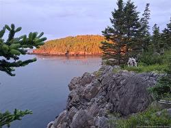 244 Fundy DR  Campobello Island, NB E5E 1X2