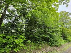 Lot2-1 Ohio East Side Road Upper Ohio, NS B2G 2K8