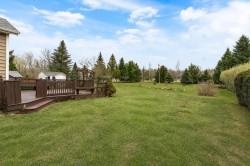 Lot - 