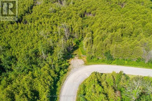 36 Spen Haven Road, Kawartha Lakes (Emily), ON 
