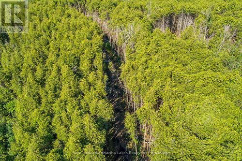 36 Spen Haven Road, Kawartha Lakes (Emily), ON 