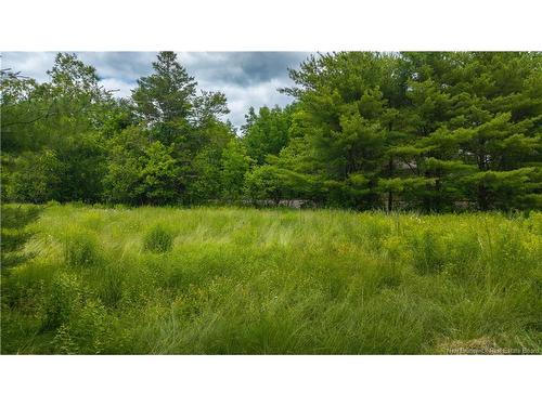 69 West St, Saint Stephen, NB 